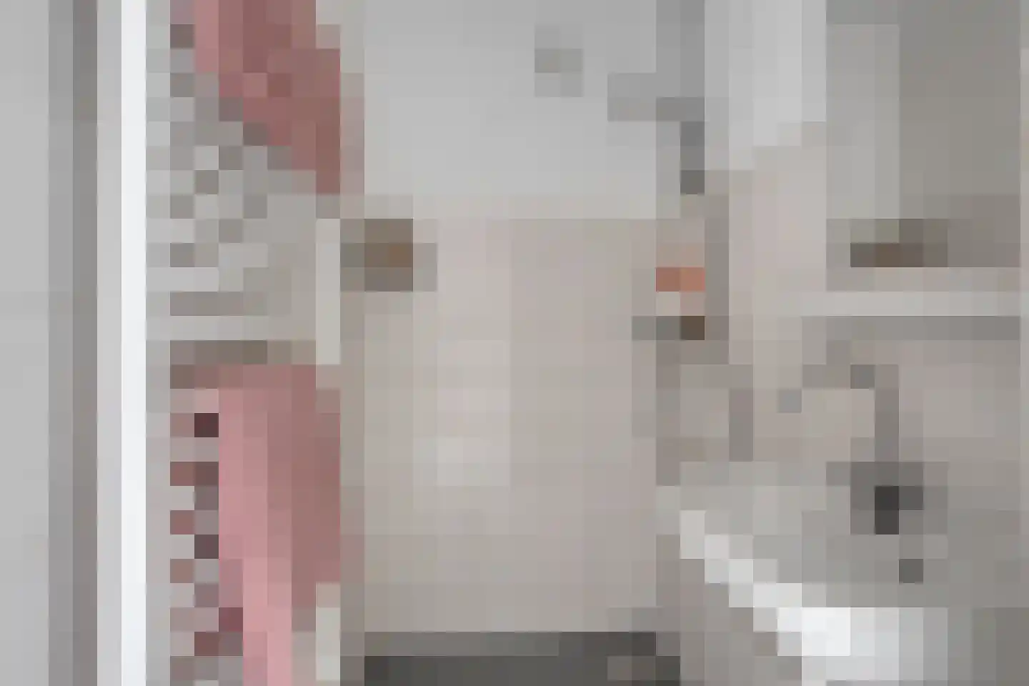 Fresiastraat 28 Sappemeer thumbnail 28