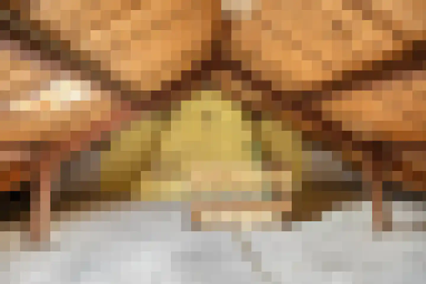 Fresiastraat 28 Sappemeer thumbnail 29