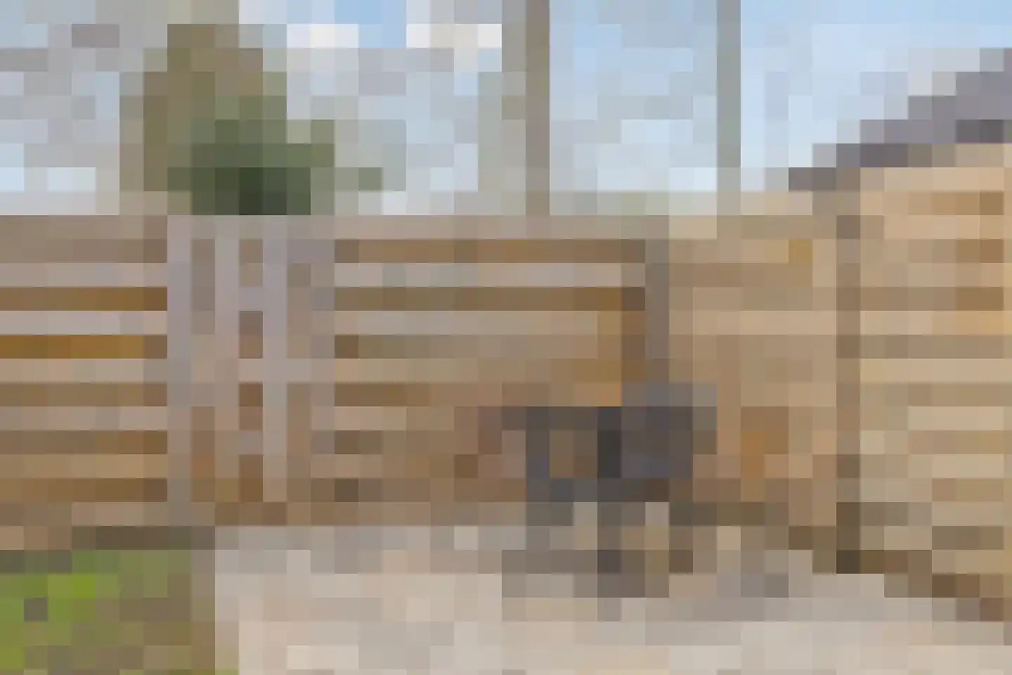 Fresiastraat 28 Sappemeer thumbnail 31