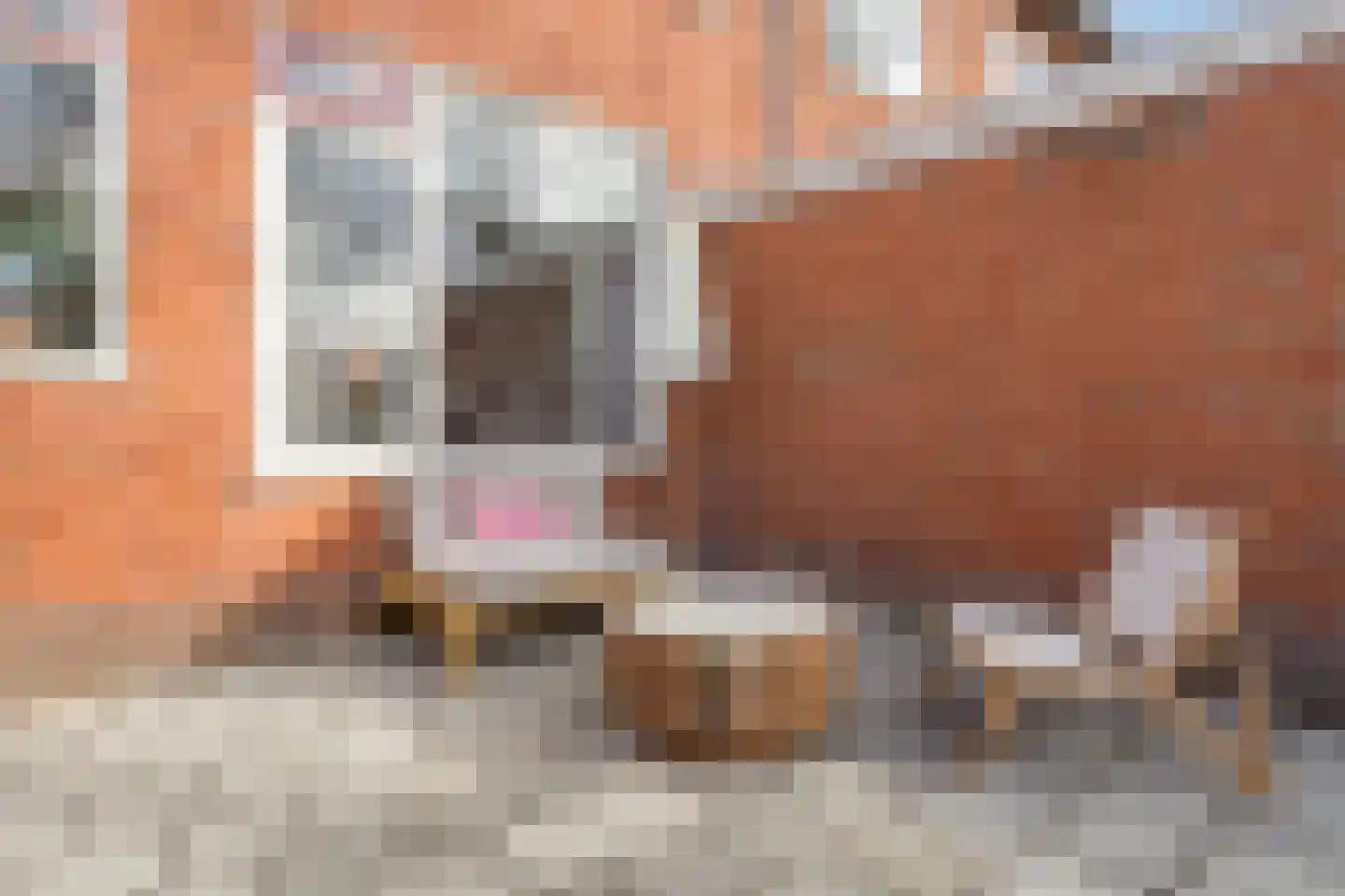 Fresiastraat 28 Sappemeer thumbnail 32