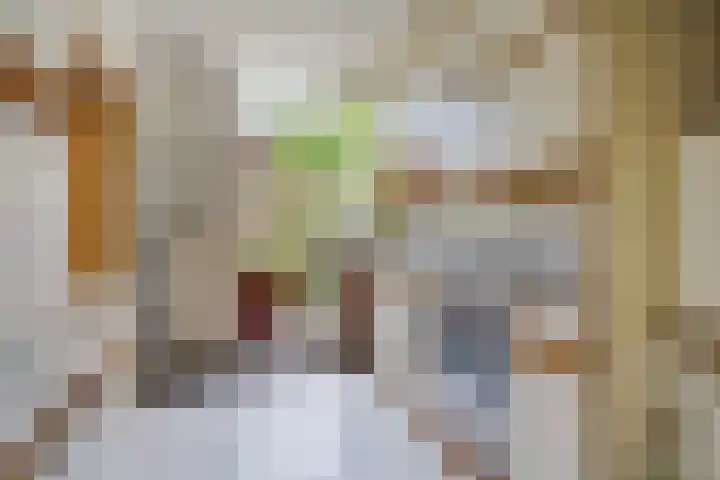 Fresiastraat 3 Naaldwijk thumbnail 10
