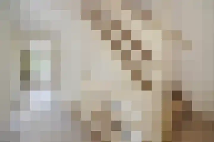Fresiastraat 3 Naaldwijk thumbnail 14