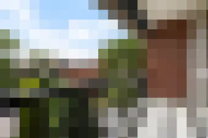 Fresiastraat 3 Naaldwijk thumbnail 17