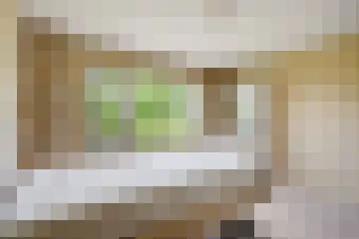 Fresiastraat 3 Naaldwijk thumbnail 20