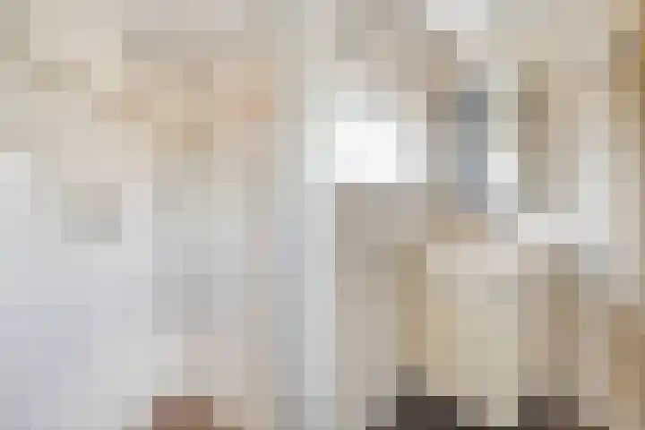 Fresiastraat 3 Naaldwijk thumbnail 22