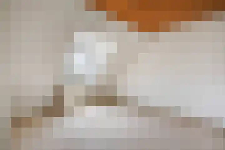 Fresiastraat 3 Naaldwijk thumbnail 24