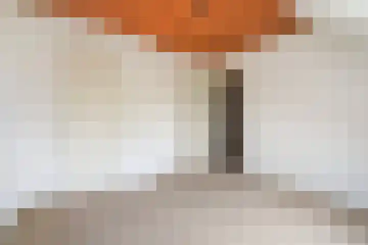 Fresiastraat 3 Naaldwijk thumbnail 26