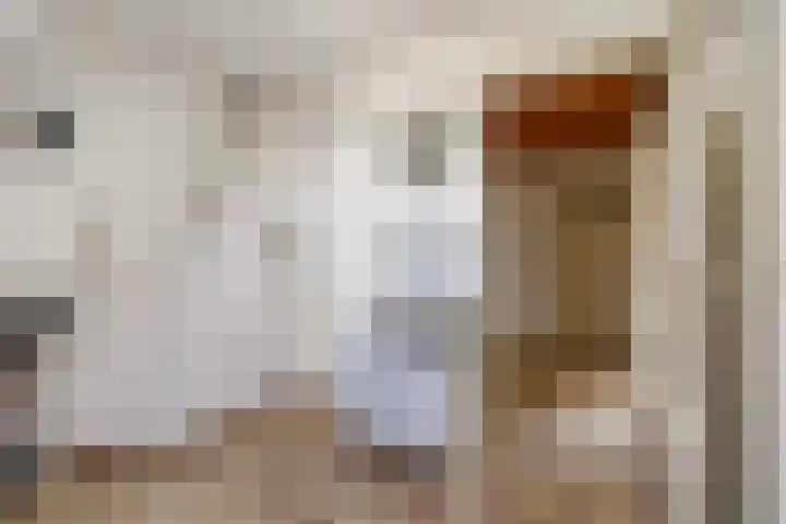 Fresiastraat 3 Naaldwijk thumbnail 27