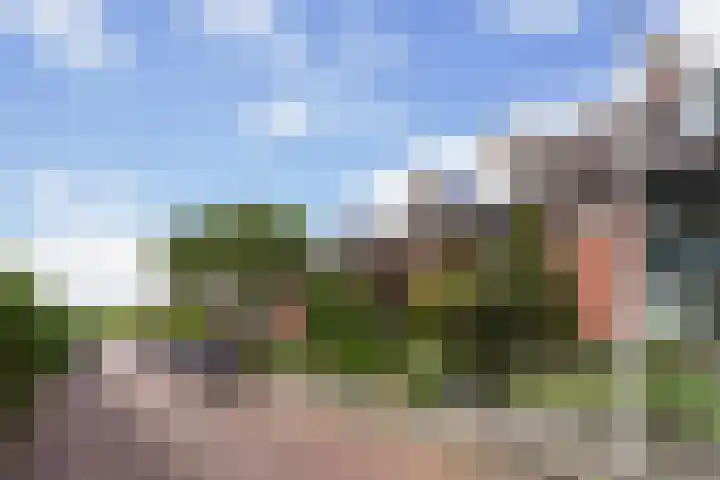 Fresiastraat 3 Naaldwijk thumbnail 29