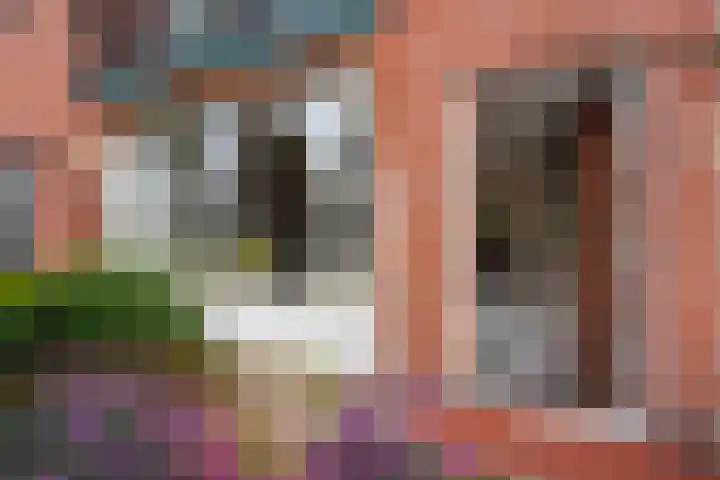 Fresiastraat 3 Naaldwijk thumbnail 5
