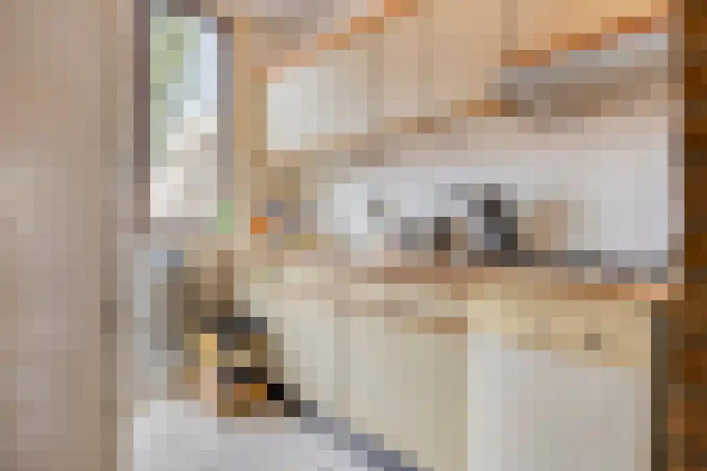 Fresiastraat 33 Spijkenisse thumbnail 4