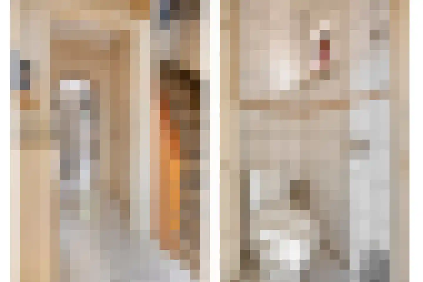 Fresiastraat 33 Spijkenisse thumbnail 5