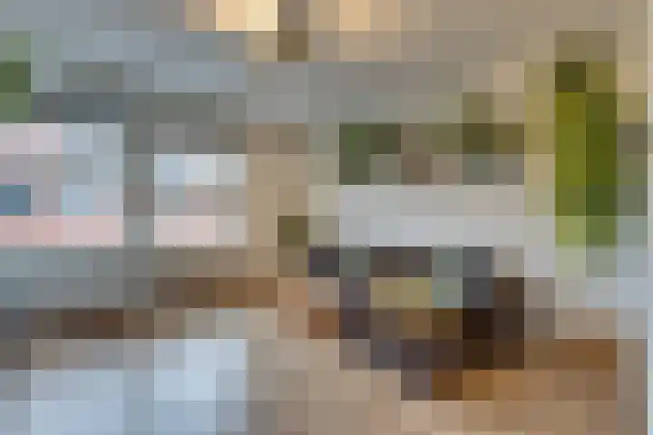 Fresiastraat 4 Amsterdam thumbnail 10