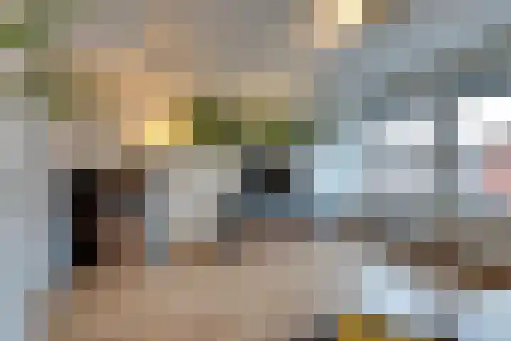 Fresiastraat 4 Amsterdam thumbnail 11