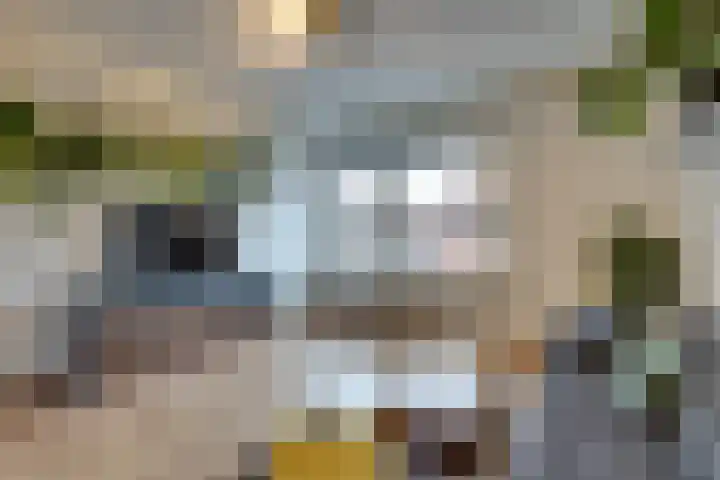 Fresiastraat 4 Amsterdam thumbnail 12