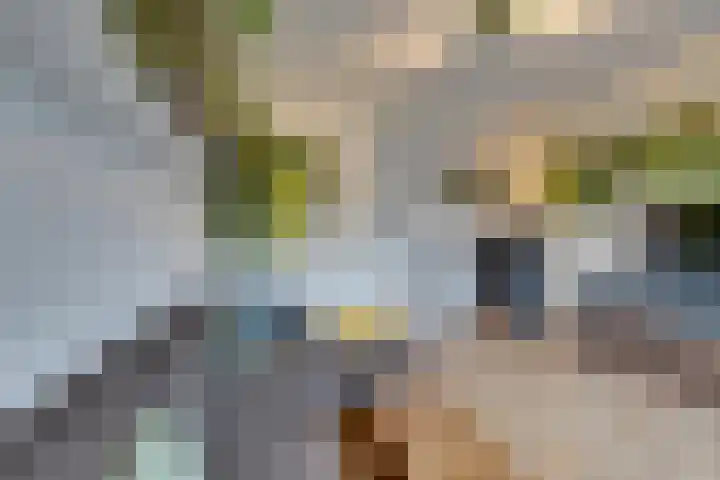 Fresiastraat 4 Amsterdam thumbnail 14