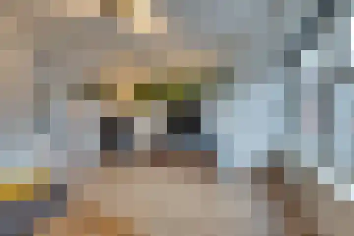 Fresiastraat 4 Amsterdam thumbnail 15