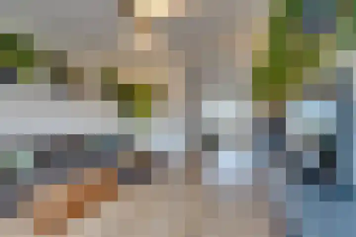 Fresiastraat 4 Amsterdam thumbnail 16