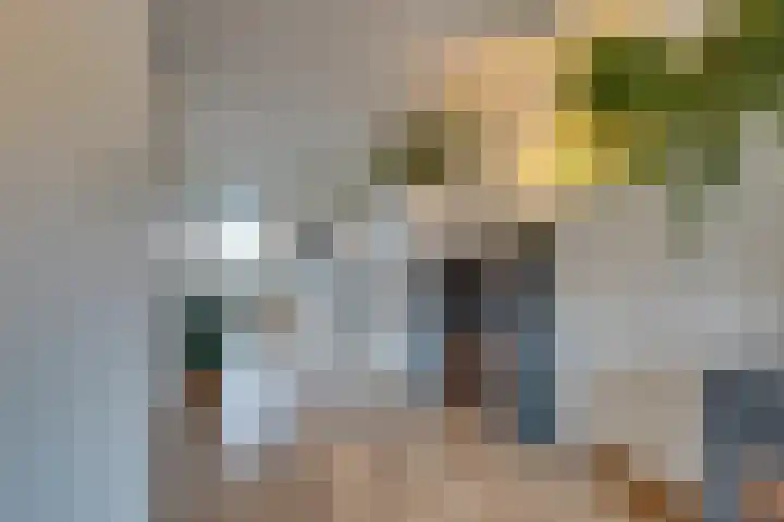 Fresiastraat 4 Amsterdam thumbnail 18
