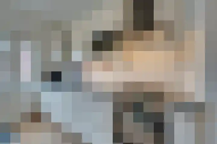 Fresiastraat 4 Amsterdam thumbnail 19