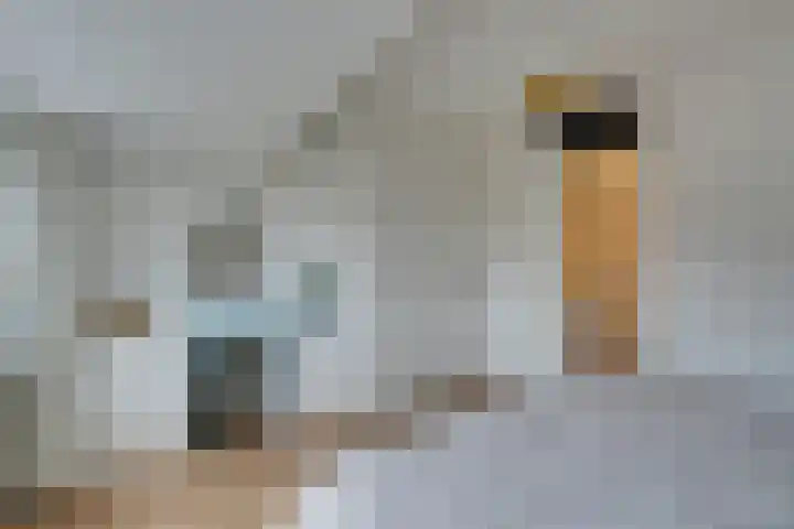 Fresiastraat 4 Amsterdam thumbnail 32
