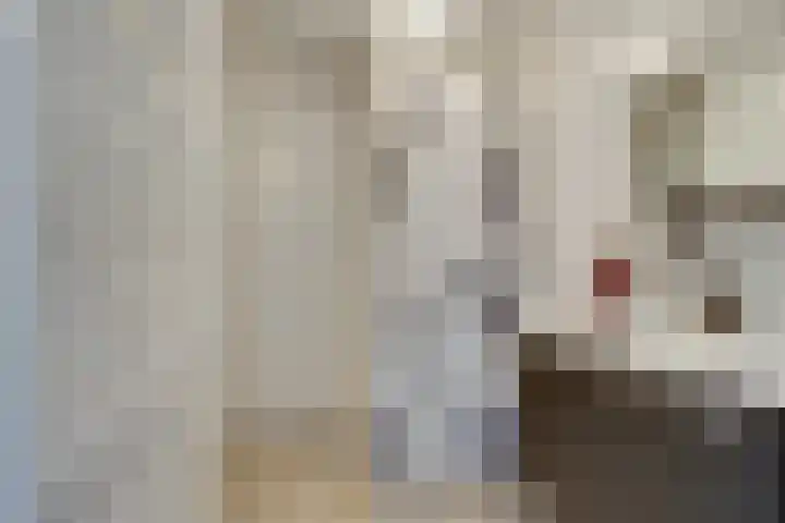 Fresiastraat 4 Amsterdam thumbnail 37