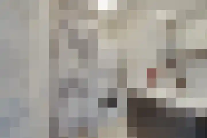 Fresiastraat 4 Amsterdam thumbnail 40