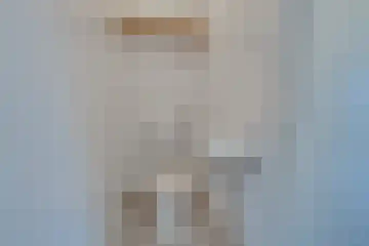 Fresiastraat 4 Amsterdam thumbnail 41