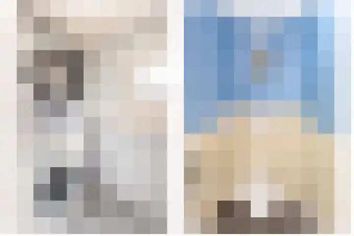 Fresiastraat 4 Lisse thumbnail 19