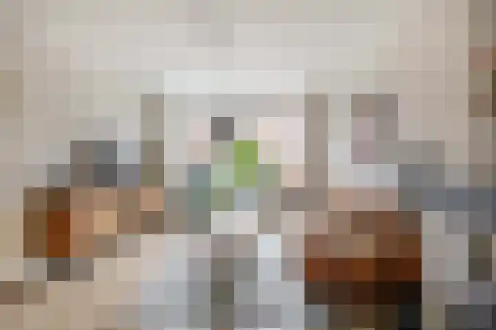 Fresiastraat 4 Lisse thumbnail 4