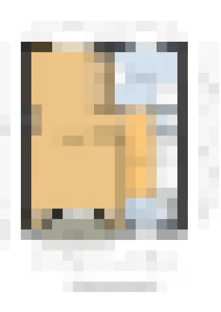 Fresiastraat 4 Lisse thumbnail 40
