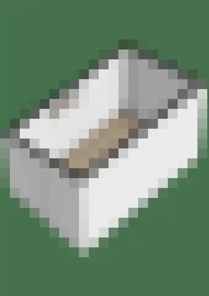 Fresiastraat 4 Lisse thumbnail 47