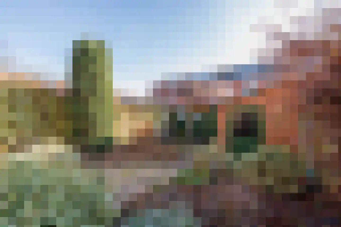 Fresiastraat 5 Lisse thumbnail 17
