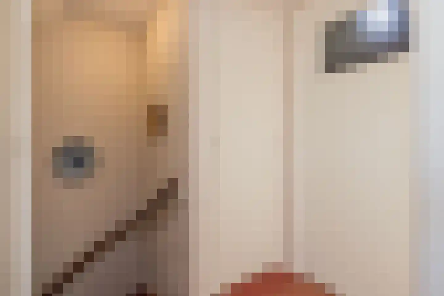Fresiastraat 5 Lisse thumbnail 31