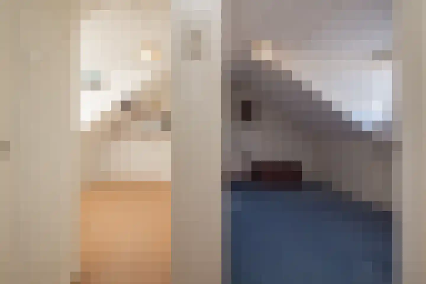 Fresiastraat 5 Lisse thumbnail 32