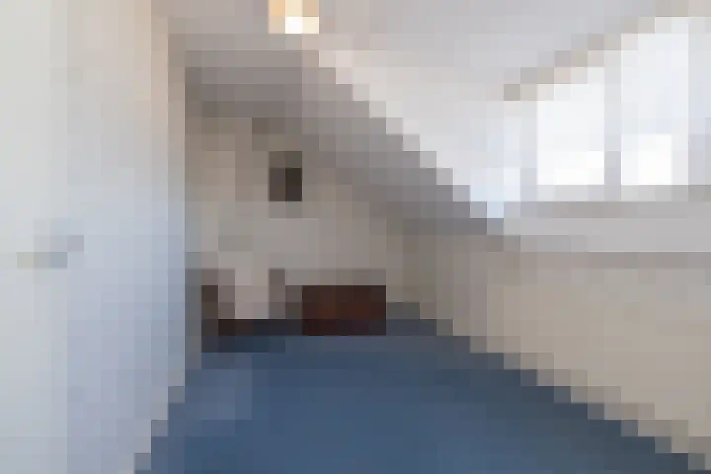 Fresiastraat 5 Lisse thumbnail 33