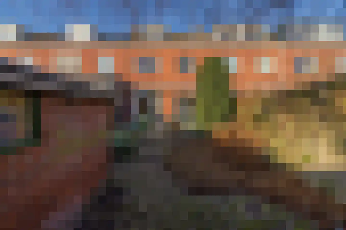 Fresiastraat 5 Lisse thumbnail 4