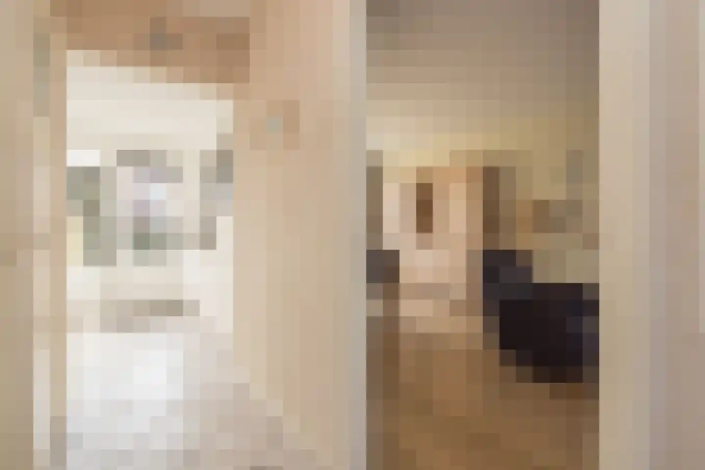Fresiastraat 5 Lisse thumbnail 7