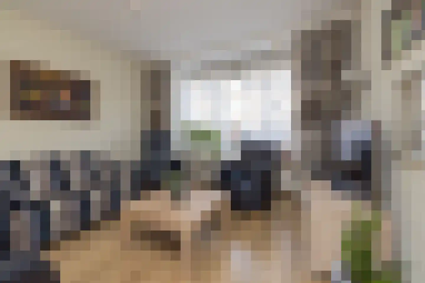 Fresiastraat 5 Lisse thumbnail 9
