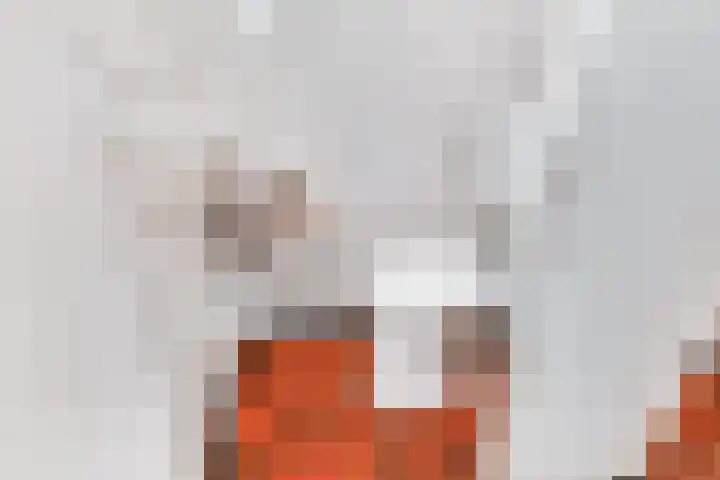Fresiastraat 5 Naaldwijk thumbnail 11