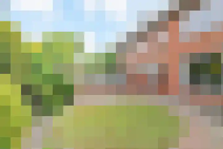 Fresiastraat 5 Naaldwijk thumbnail 21