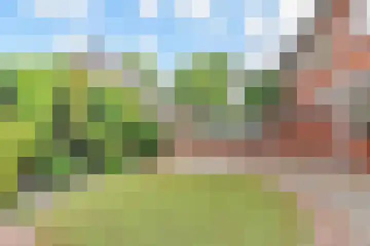 Fresiastraat 5 Naaldwijk thumbnail 22