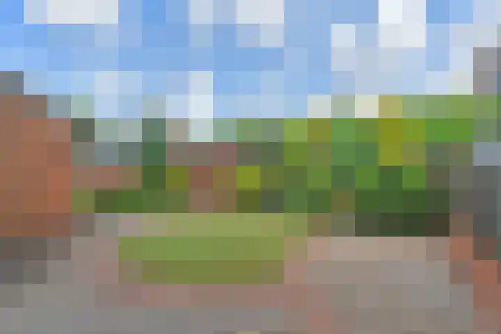 Fresiastraat 5 Naaldwijk thumbnail 23