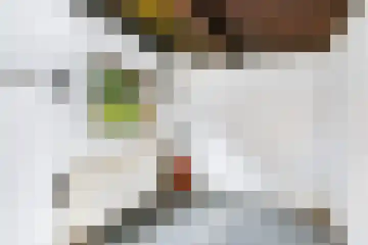 Fresiastraat 5 Naaldwijk thumbnail 25