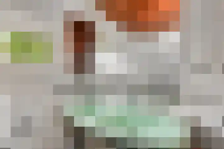 Fresiastraat 5 Naaldwijk thumbnail 29