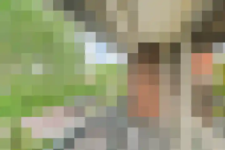 Fresiastraat 5 Naaldwijk thumbnail 33