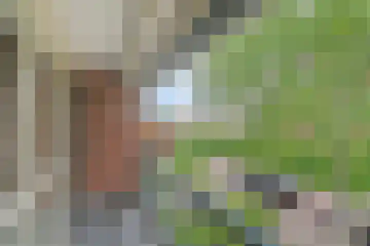 Fresiastraat 5 Naaldwijk thumbnail 34
