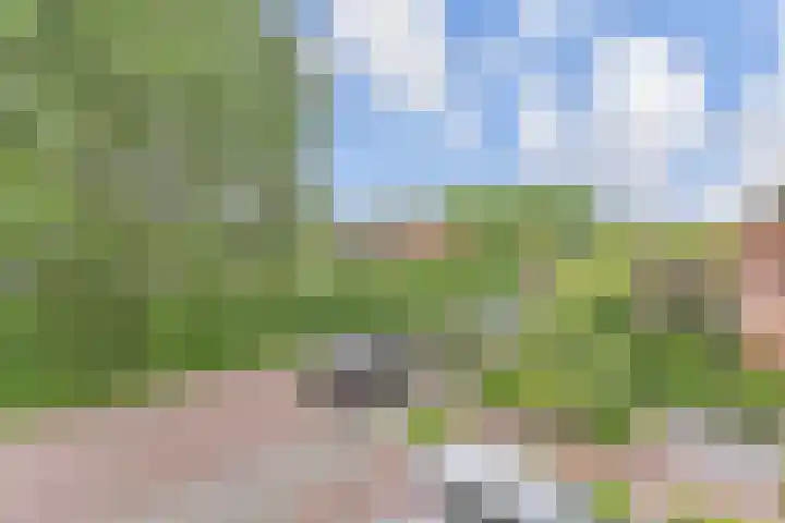 Fresiastraat 5 Naaldwijk thumbnail 35