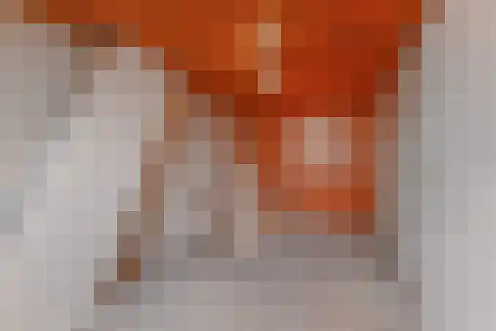 Fresiastraat 5 Naaldwijk thumbnail 42
