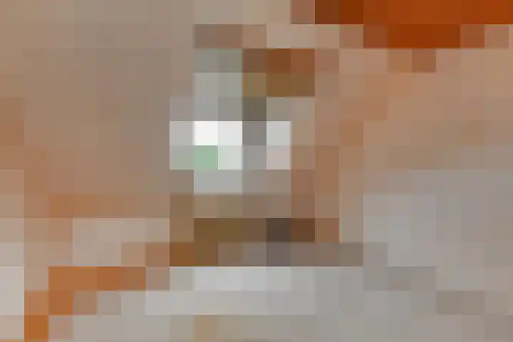 Fresiastraat 5 Naaldwijk thumbnail 44